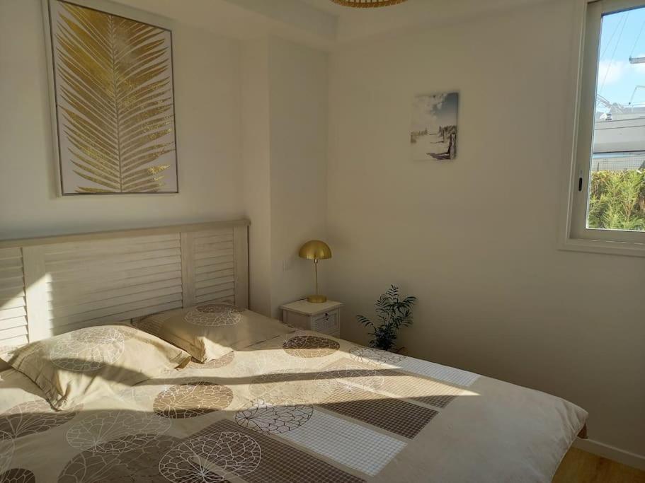 Appartement 100 M2 Terrasse Piscine Gruissan Zewnętrze zdjęcie